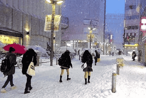 既保暖又塑形，冬天必備的藏肉神器